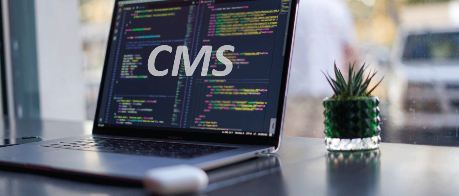 CMS Development Services banner