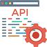 Custom API & Plugins Development